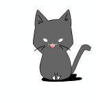 はくす