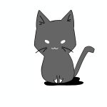 はくす